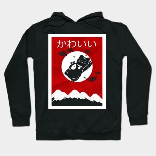 Best Birthday Gift Idea for Men/Women Anime and Manga Lover Hoodie